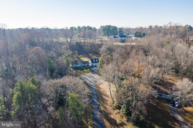 bird's eye view with a view of trees