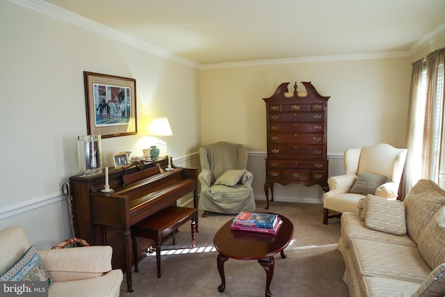 sitting room with crown molding and carpet