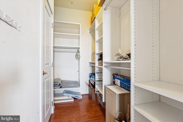 spacious closet with wood finished floors