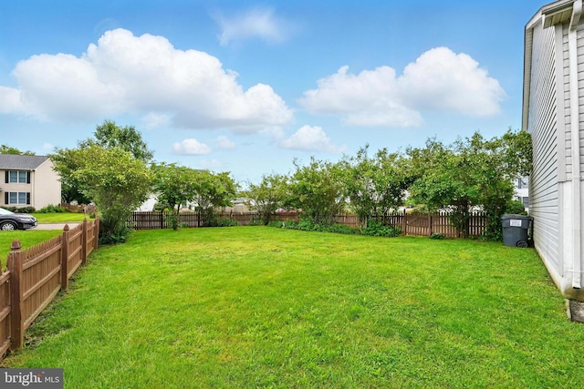 6254 Goulding Ct, Bealeton, VA 22712 - view of yard