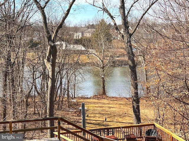 view of water feature