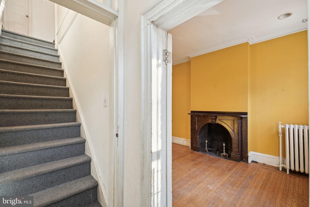 stairs featuring a fireplace, baseboards, ornamental molding, radiator, and wood-type flooring