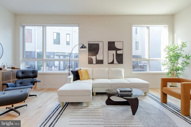 living area with light wood-type flooring, radiator heating unit, and baseboards