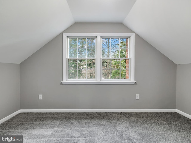 additional living space featuring carpet floors, baseboards, and lofted ceiling