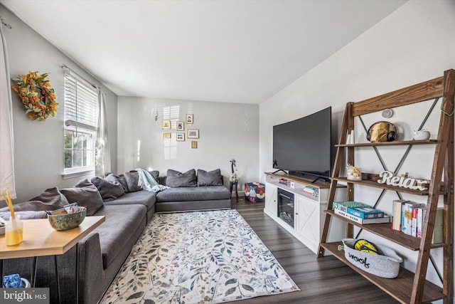 living room featuring dark wood-style flooring