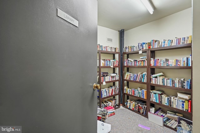 interior space with carpet flooring