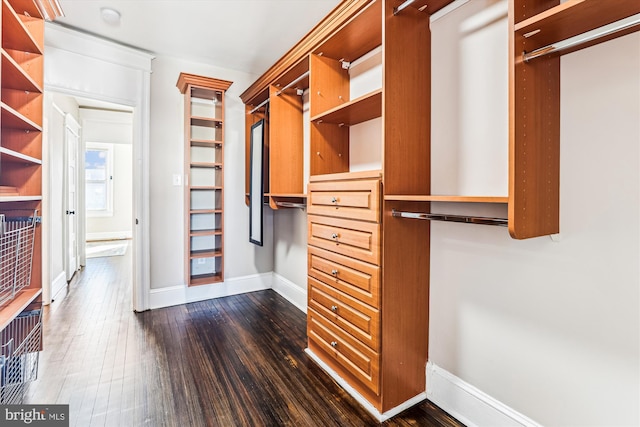 walk in closet featuring dark wood-style flooring