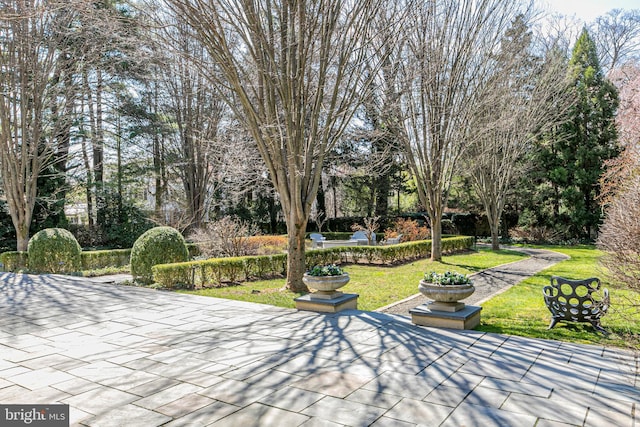 view of community featuring a patio area and a lawn