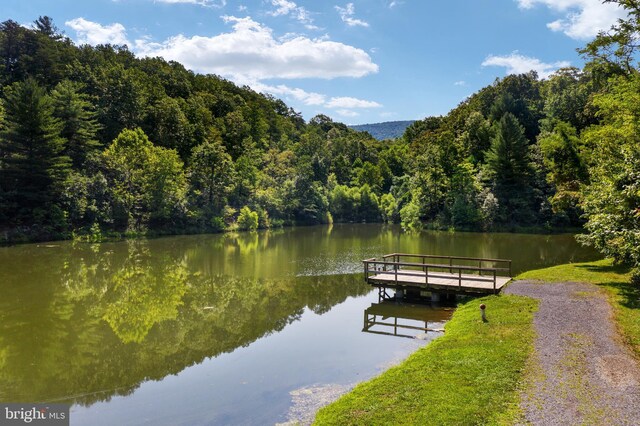 dock area featuring a water view and a forest view