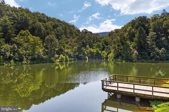 view of dock with a water view and a view of trees