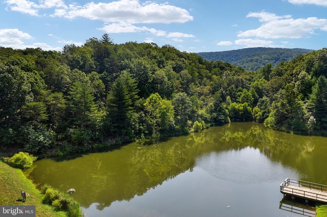 property view of water featuring a wooded view