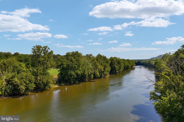 water view featuring a wooded view