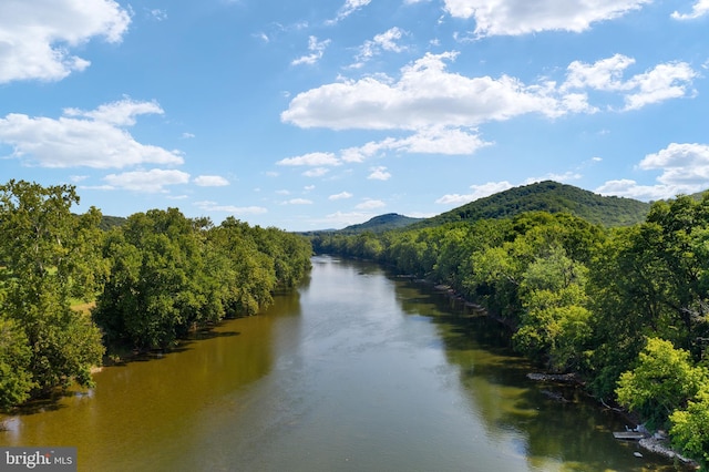 water view with a wooded view and a mountain view