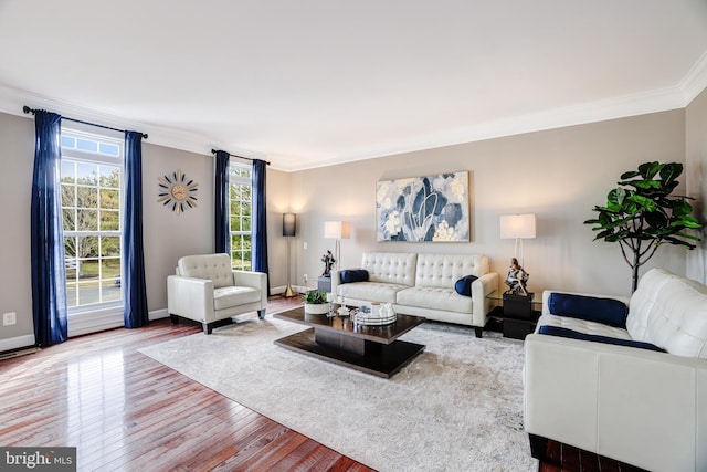 living area featuring baseboards, hardwood / wood-style flooring, and crown molding