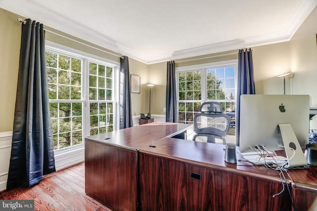 office with plenty of natural light, crown molding, and wood finished floors