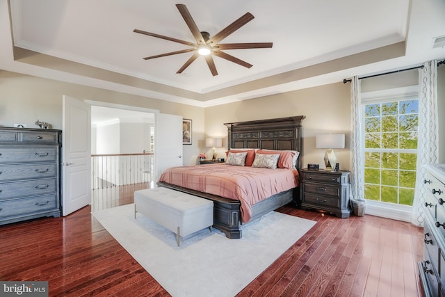 bedroom with a ceiling fan, a raised ceiling, dark wood finished floors, and crown molding