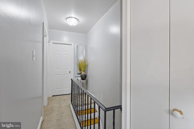 hallway with carpet floors