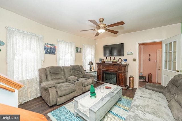 living room featuring ceiling fan, a fireplace, and wood finished floors