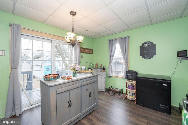 kitchen with a drop ceiling, dark wood-type flooring, fridge, and a healthy amount of sunlight