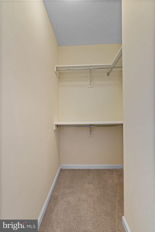 walk in closet with light carpet