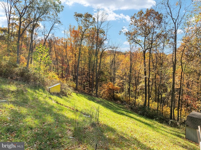 view of yard with a forest view