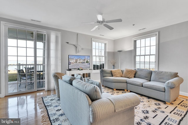 living area with ceiling fan, light wood-type flooring, visible vents, and crown molding