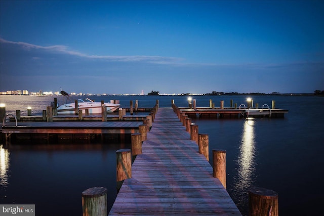 dock area with a water view