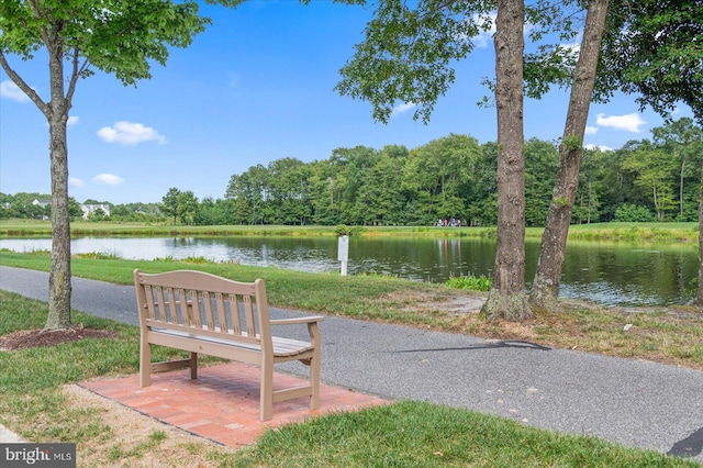 view of community featuring a water view