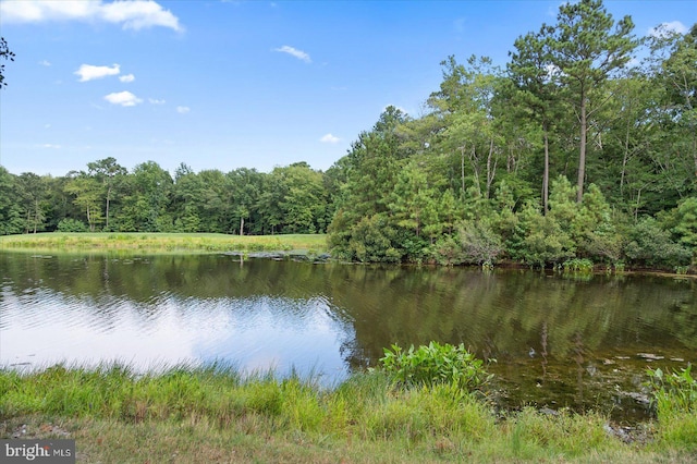 water view with a wooded view