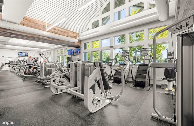 workout area featuring high vaulted ceiling