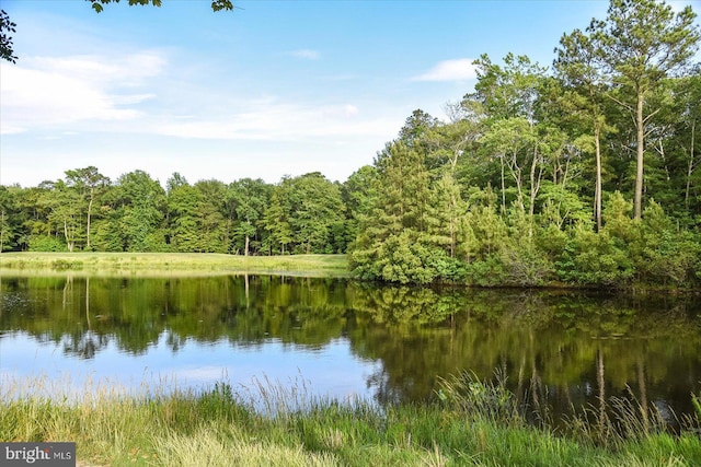 view of water feature with a forest view