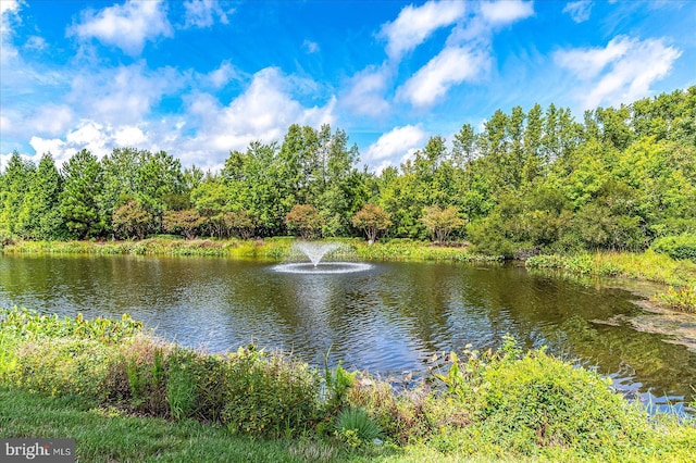 view of water feature