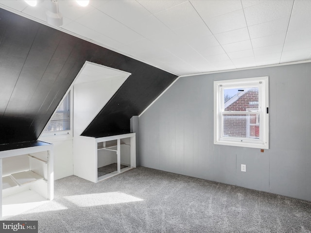 bonus room with lofted ceiling and carpet