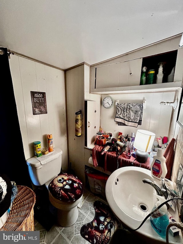 bathroom featuring toilet and a sink