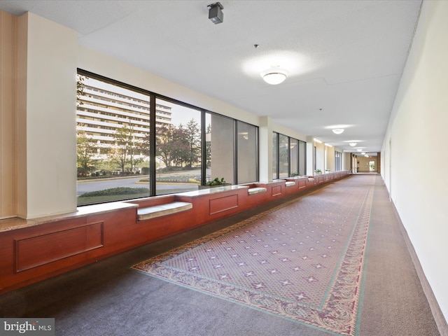 hall featuring carpet flooring