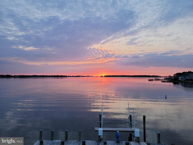 property view of water with a dock