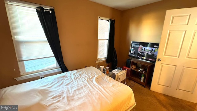 bedroom featuring carpet flooring