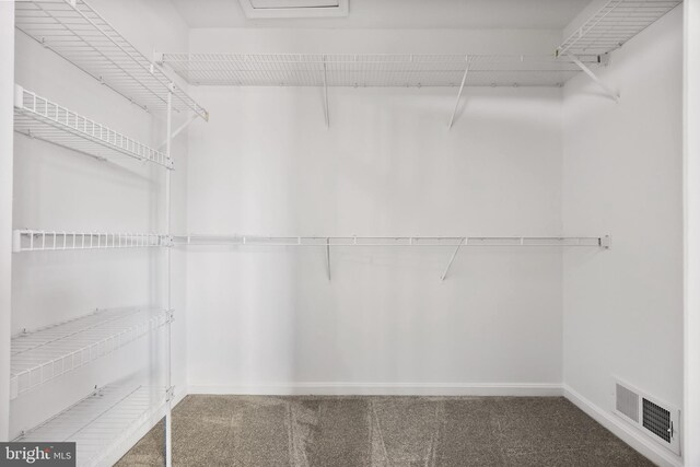 walk in closet featuring carpet floors and visible vents