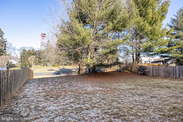 view of yard featuring fence