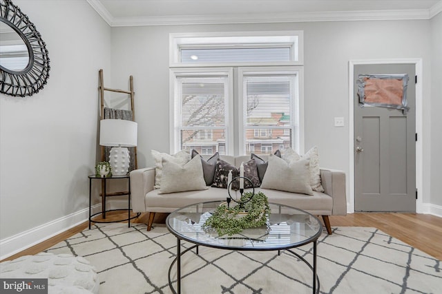 living area featuring ornamental molding, wood finished floors, and baseboards