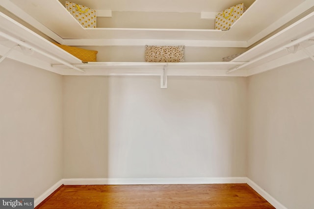 spacious closet with wood finished floors