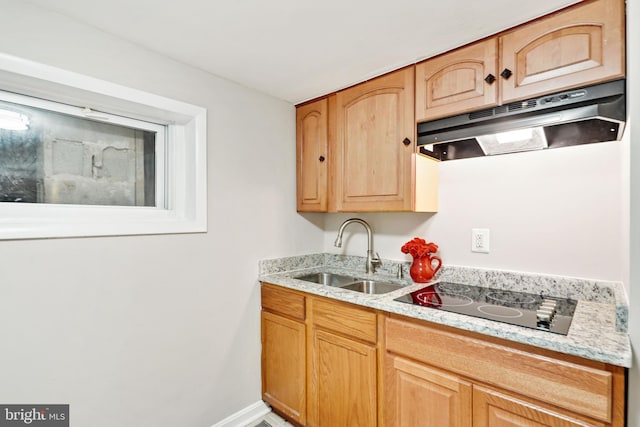 kitchen featuring baseboards, black electric cooktop, light countertops, under cabinet range hood, and a sink