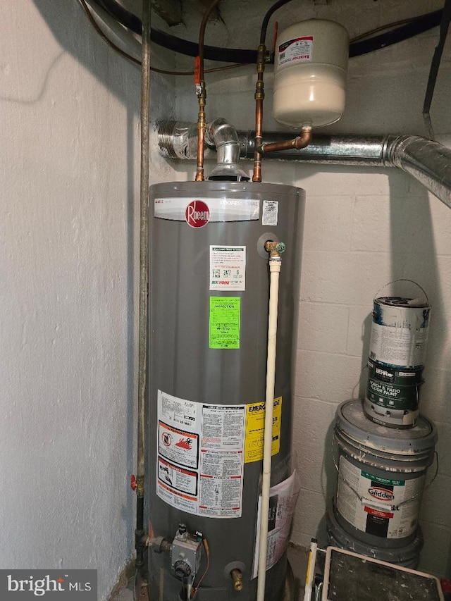 utility room featuring gas water heater