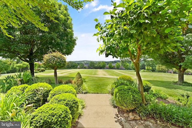 view of home's community with view of golf course and a yard