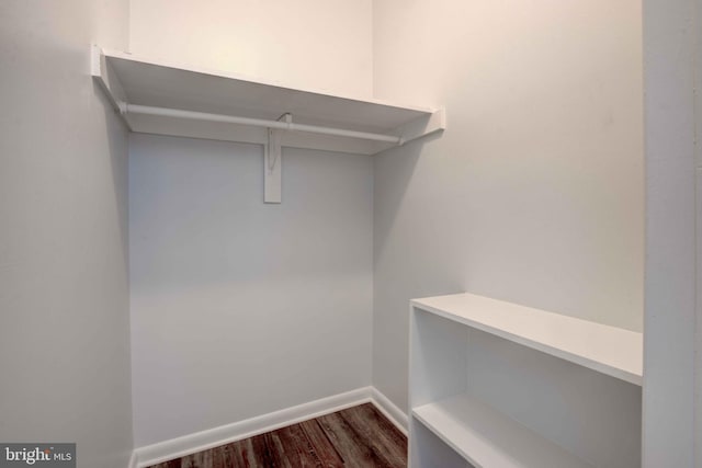 walk in closet featuring dark wood-type flooring