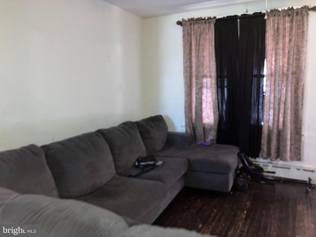 living area featuring wood finished floors