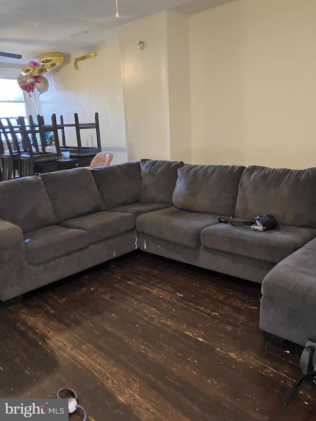 living room featuring wood finished floors