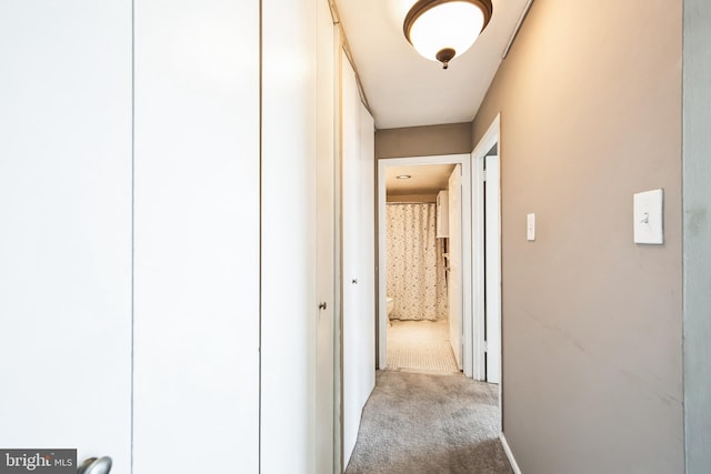 hallway featuring carpet flooring