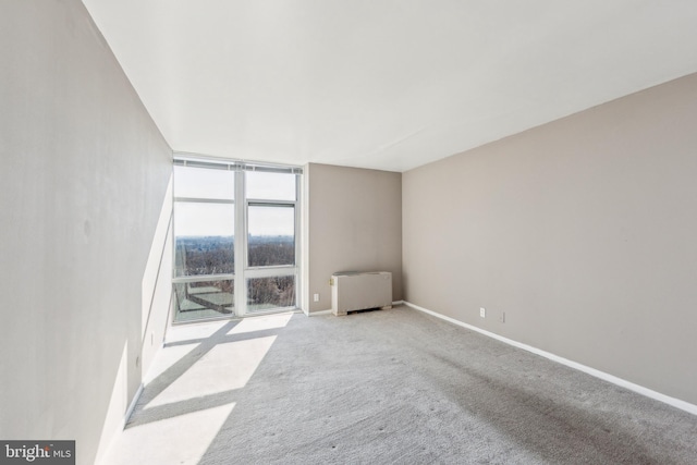 spare room featuring radiator, baseboards, floor to ceiling windows, and carpet flooring