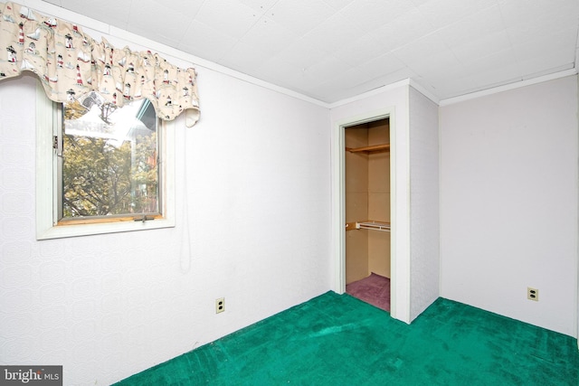 unfurnished bedroom with carpet, crown molding, and a closet